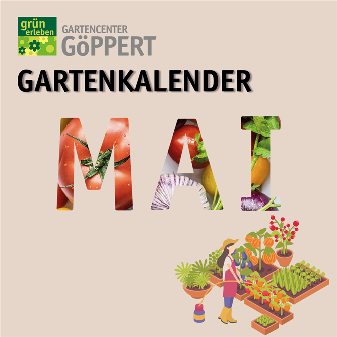 Gartenarbeit im Mai Göppert Gartencenter