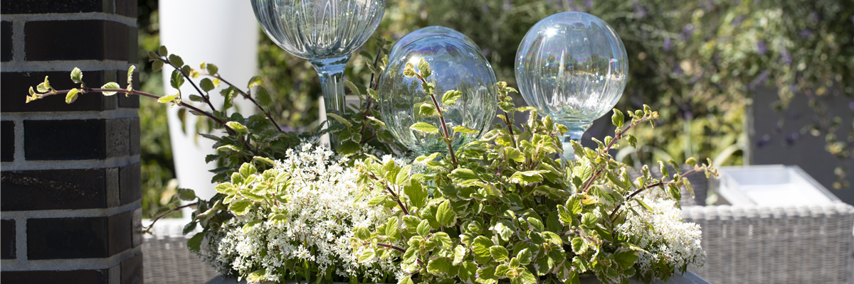 Bepflanzter Kübel mit Rosenkugeln