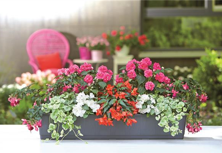 BALKON & TERRASSE BALKON & TERRASSE