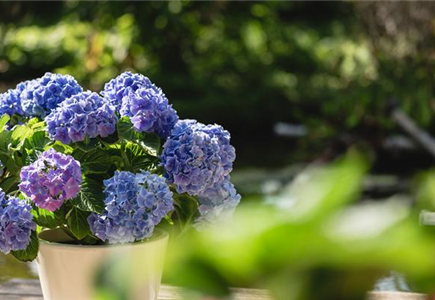 Einblicke in unser Sortiment Einblicke in unser Sortiment