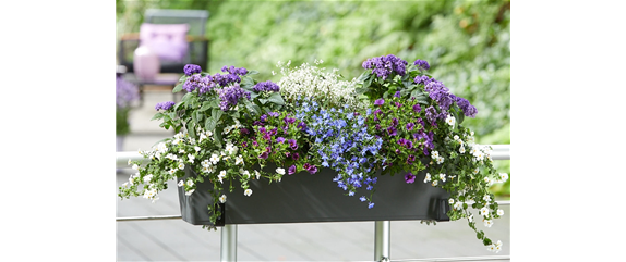 IM TREND: BALKON!