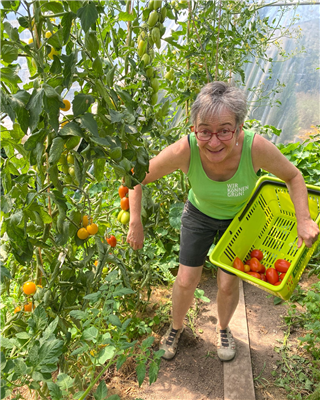 Tomatenseminar 25.04.