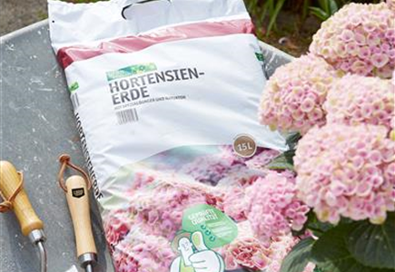 Eigenmarke Eigenmarke