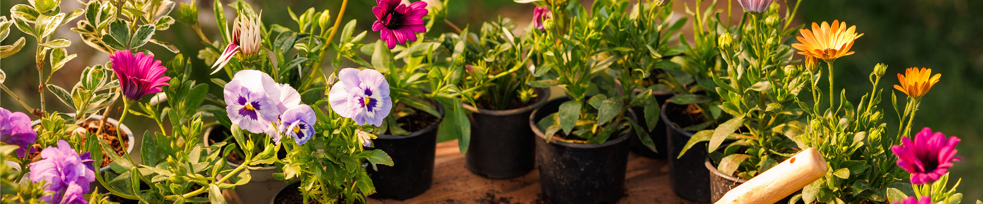 Buch des Monats: Januar!