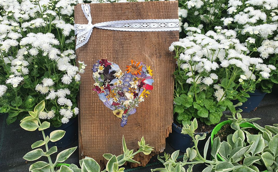 DIY Video - Gepresste Blüten DIY Video - Gepresste Blüten