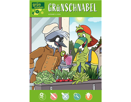 Ausgabe 3 2026