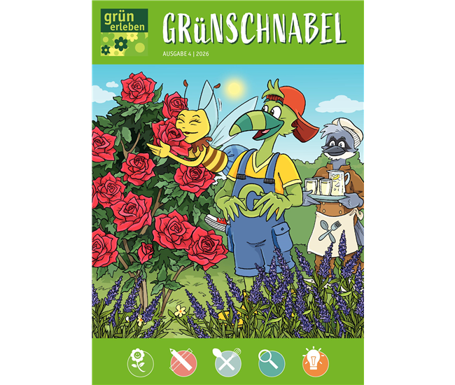 Ausgabe 4 2026