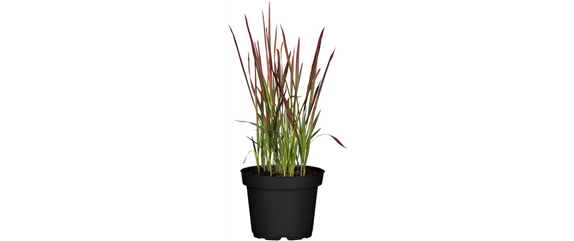 FARBEN VOLLER HERBSTGEFÜHL! 