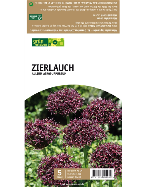 Zierlauch