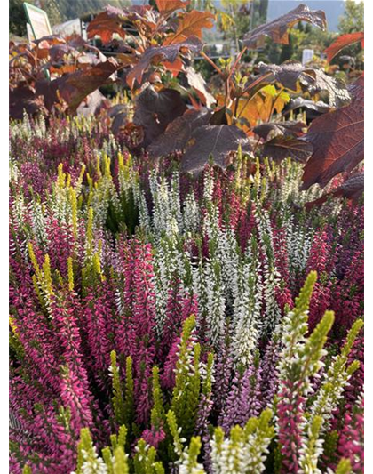 Langer Einkaufsabend und Kreativmarkt 16.10. bis 22 Uhr