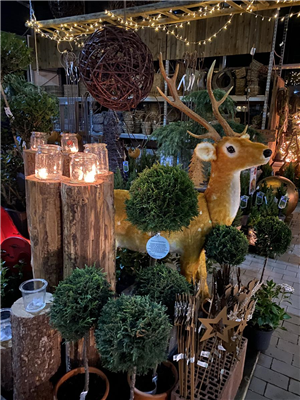 Lichterabend 21.11.25
