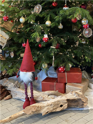 Heiligabend 24.12.25 von 8 bis 12.30 Uhr geöffnet