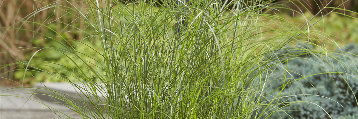 DER HERBST STEHT VOR DER TÜR! 