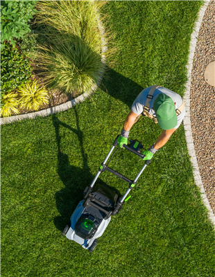 Rasenseminar mit Oscorna 18.03.